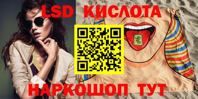 шишки Донской