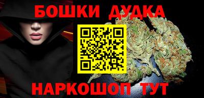 индика Дубна
