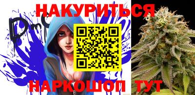 индика Дубна