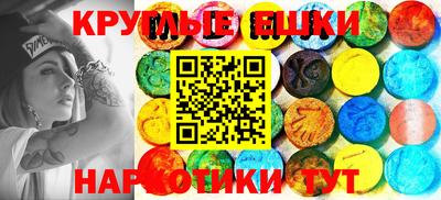 индика Дубна